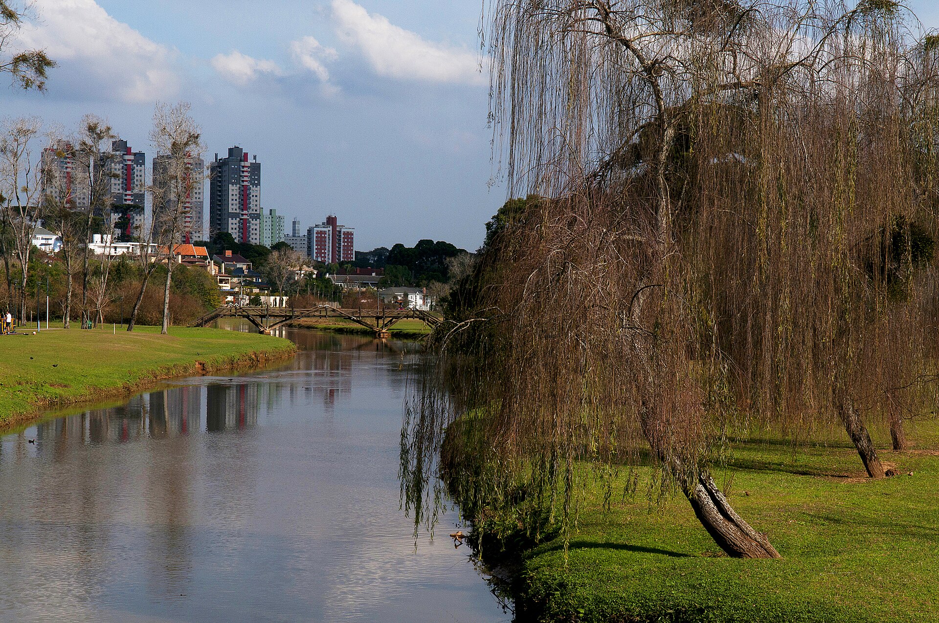 Rio do Parque Barigui, em Curitiba, com salgueiro à direita e os prédios do Ecoville e do Mossunguê ao fundo
